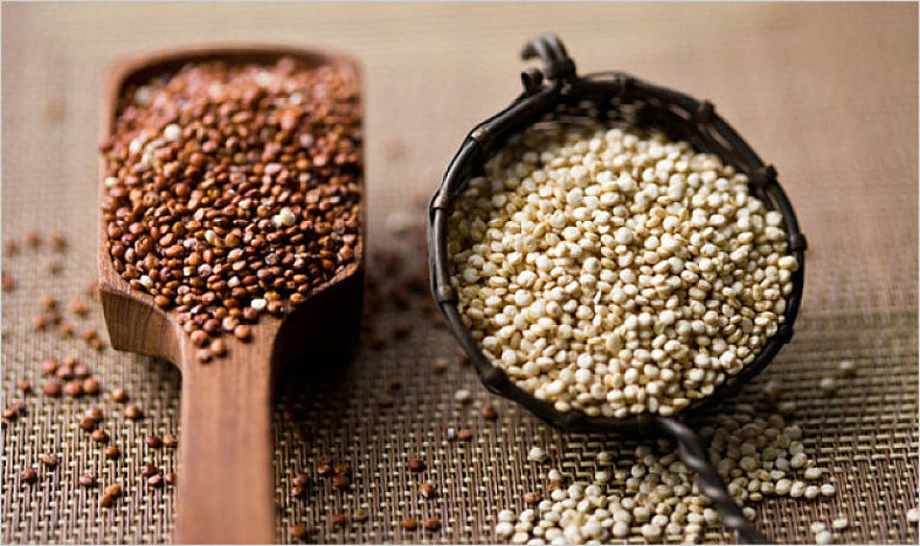 Todo sobre la quinoa: propiedades, beneficios y su uso en la cocina