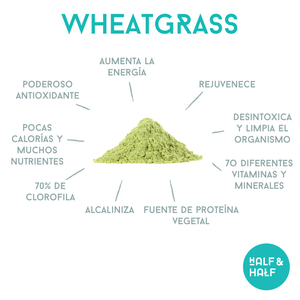 ¿Qué es el wheatgrass o pasto de trigo?