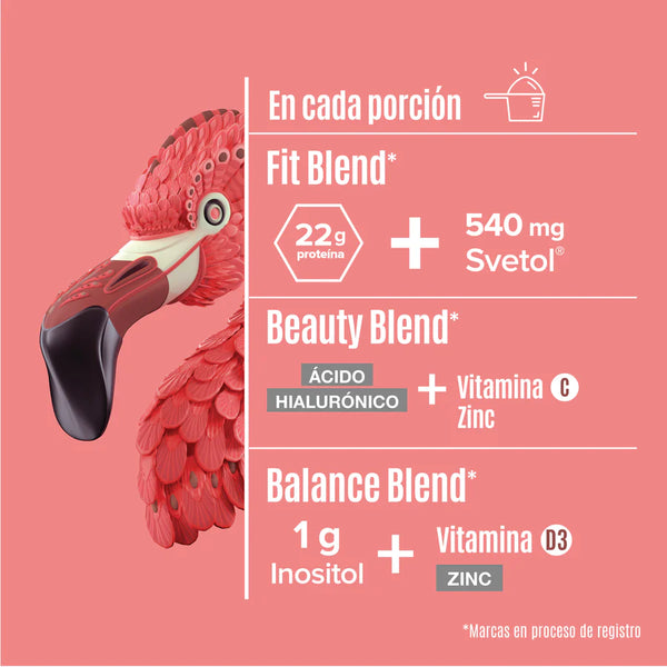 Proteína Birdman Fitmingo by Ale Rubio 510g