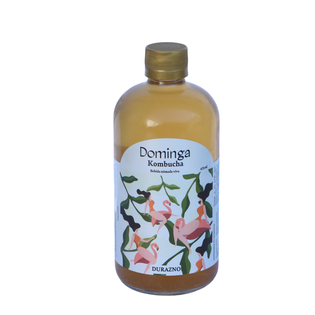 Dominga Kombucha