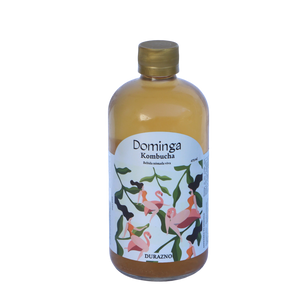 Dominga Kombucha