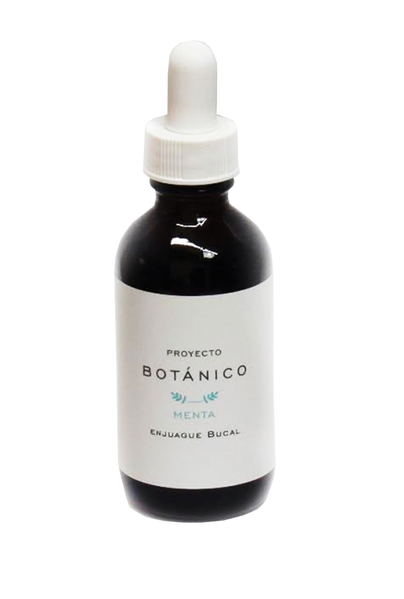 Enjuague Bucal de Menta