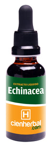 Echinacea